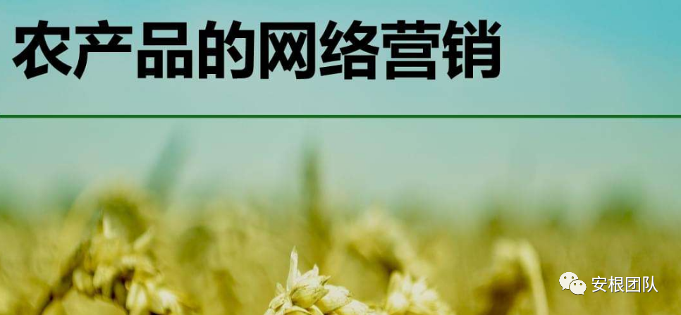 農(nóng)產(chǎn)品網(wǎng)絡(luò)營銷策略分析（農(nóng)產(chǎn)品網(wǎng)絡(luò)營銷前景分析）