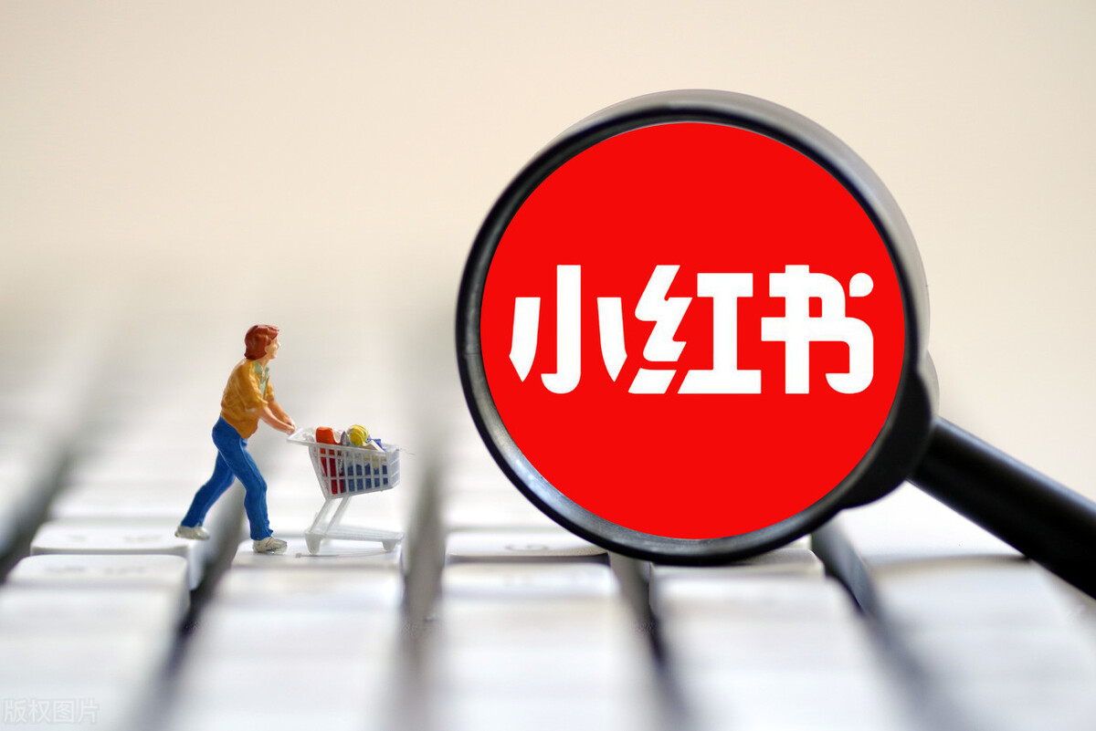 小紅書賬號怎么找回密碼（小紅書申訴找回賬號）