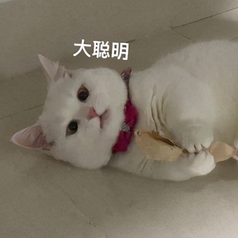 小紅書推廣，怎么選擇有價值的達人？